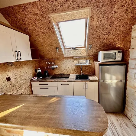 Apartament Stara Kuznia *
